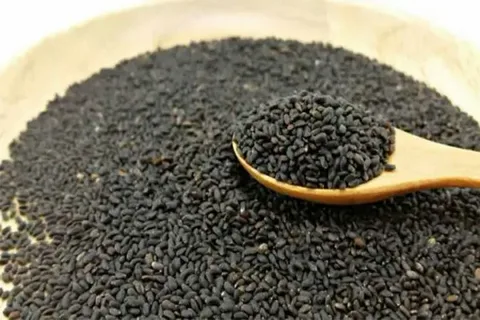 تصویر 2 از فروش تخم شربتی عمده + قیمت خرید به صرفه